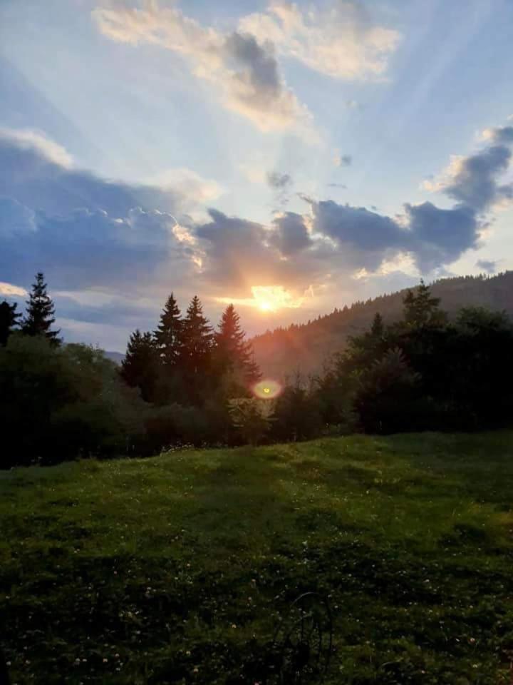 Pensiunea Valurile Bistritei Vatra Dornei Dış mekan fotoğraf